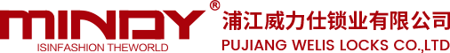 Pujiang Welis Locks Co., Ltd.