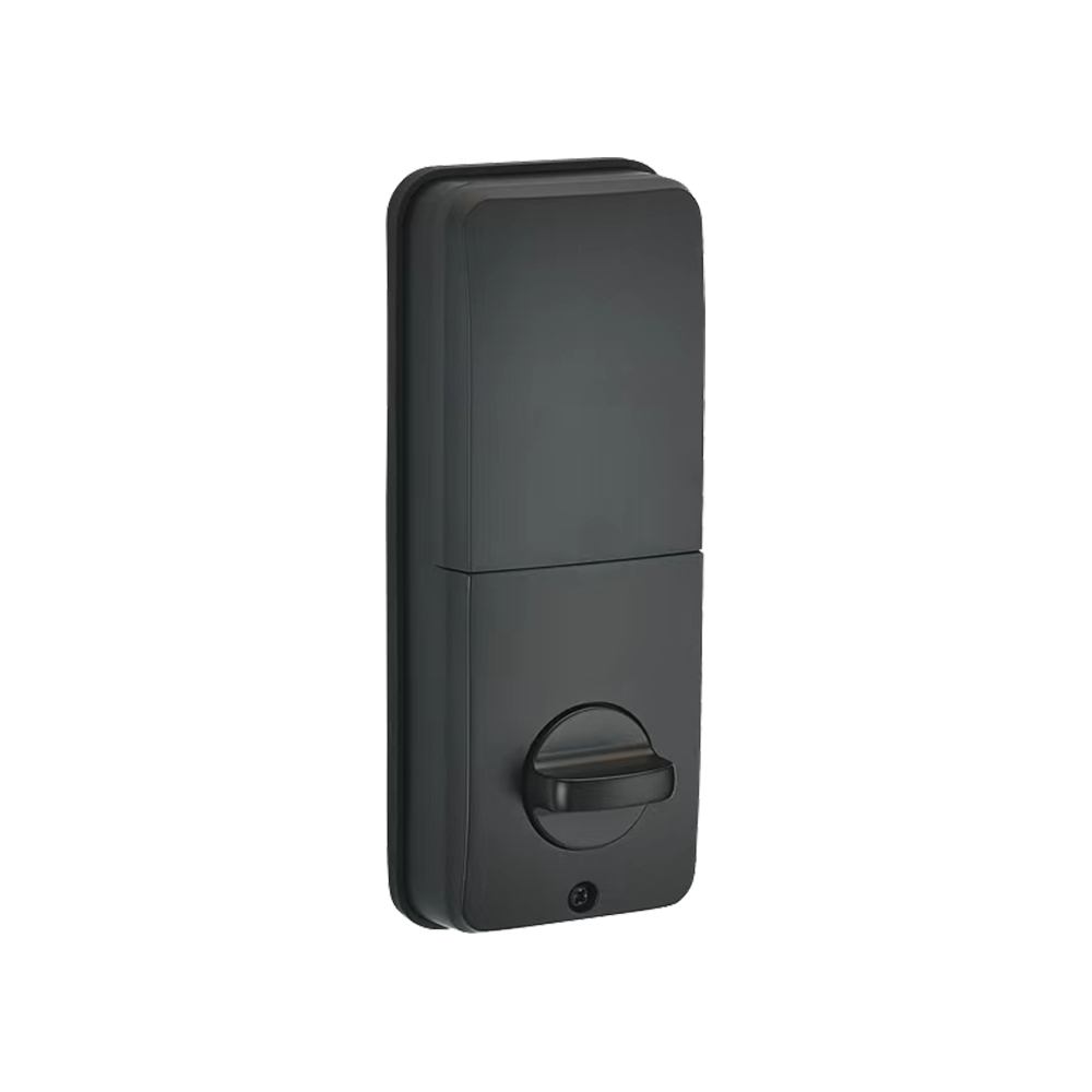 American Standard Fingerprint Combination Zinc Alloy Smart Door Lock